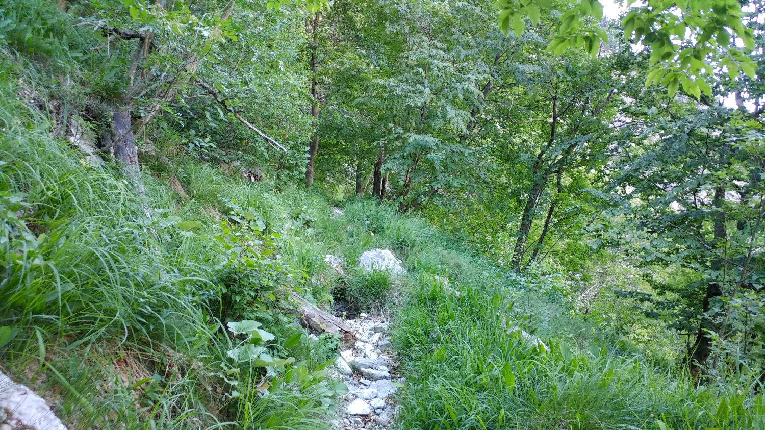 Planina Srednica - Vrh Škrli slika 22