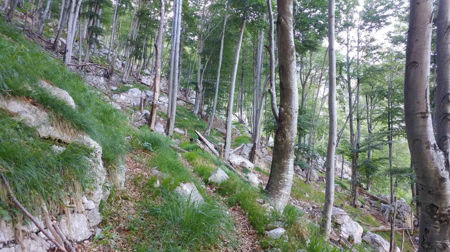 Planina Srednica - Vrh Škrli slika 25