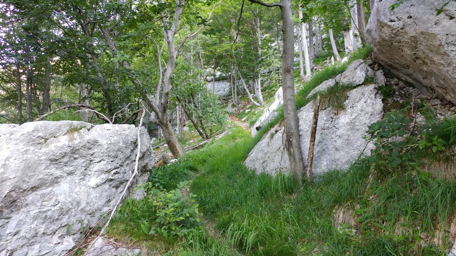 Planina Srednica - Vrh Škrli slika 26