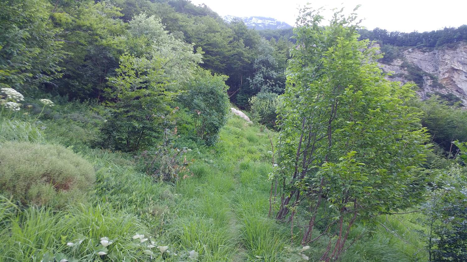 Planina Srednica - Planina Dobrenjščica slika 29