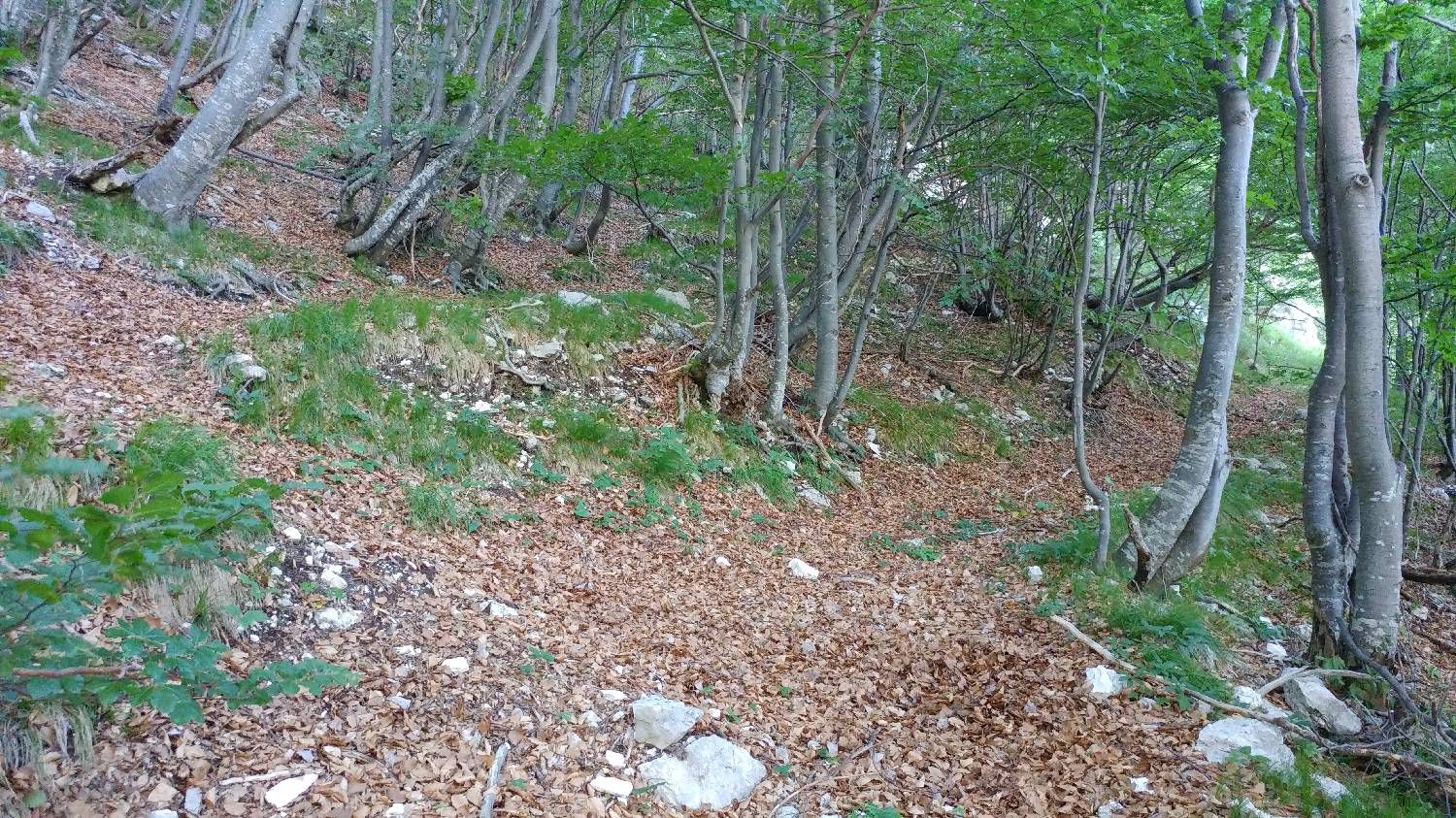 Planina Srednica - Vrh Škrli slika 28
