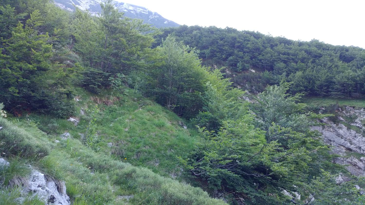 Planina Srednica - Vrh Škrli slika 29