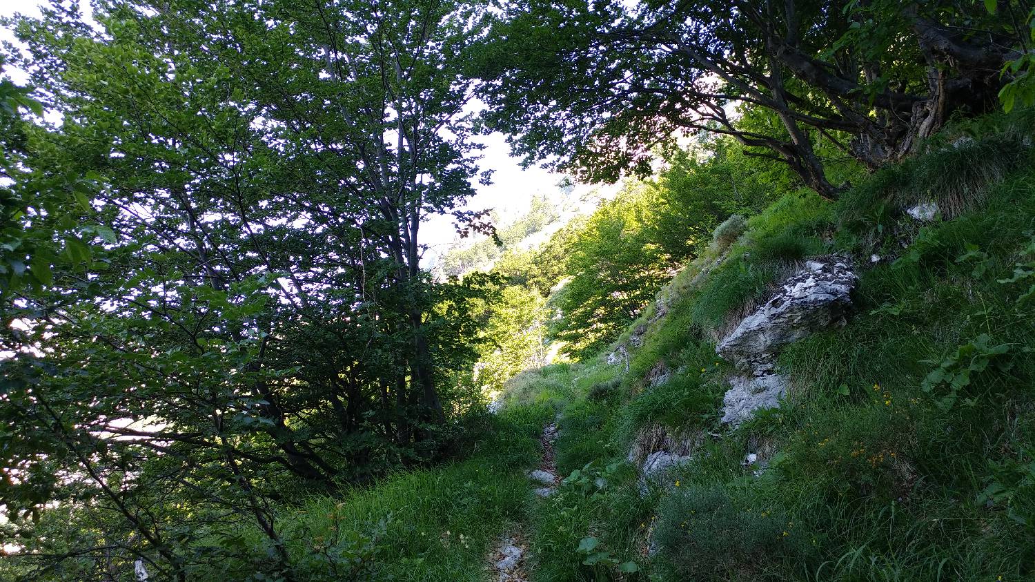 Planina Srednica - Planina Dobrenjščica slika 32