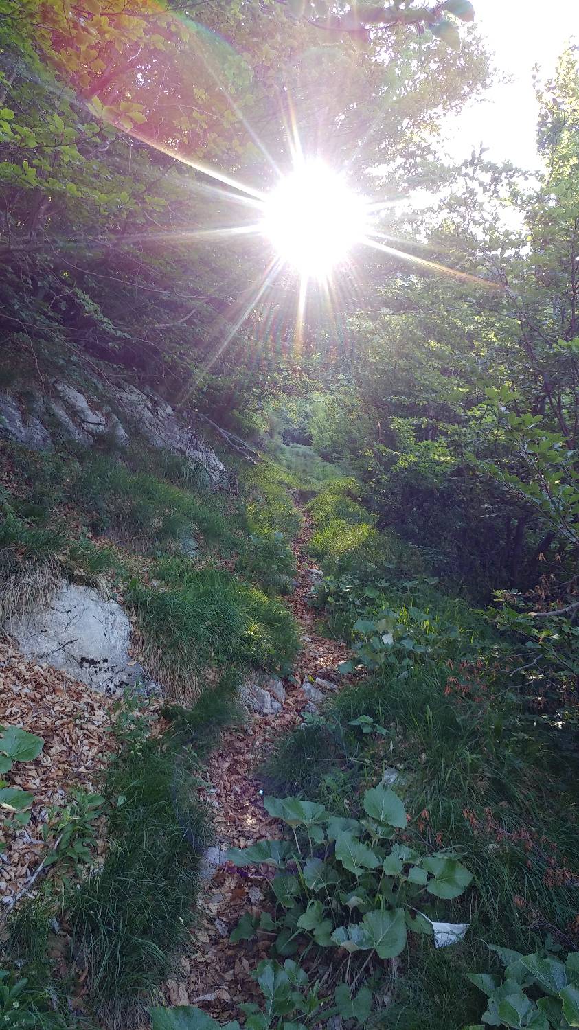 Planina Srednica - Vrh Škrli slika 31