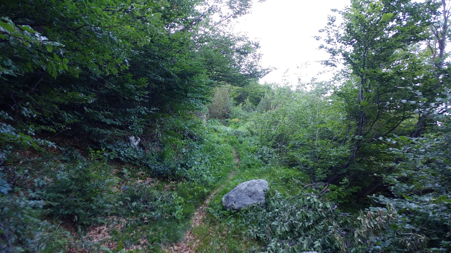 Planina Srednica - Vrh Škrli slika 32