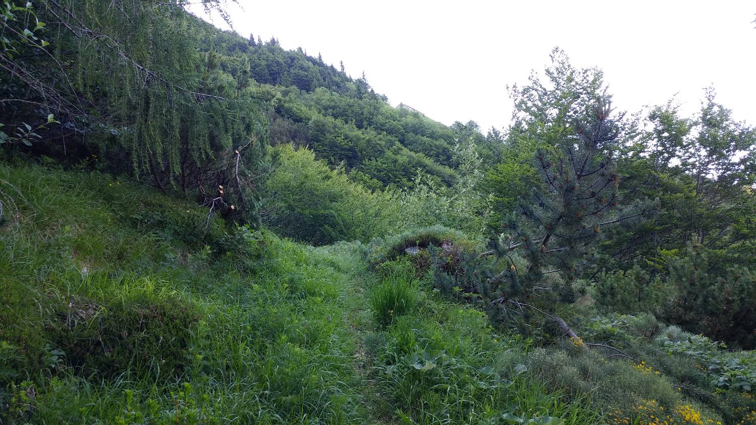 Planina Srednica - Vrh Škrli slika 33