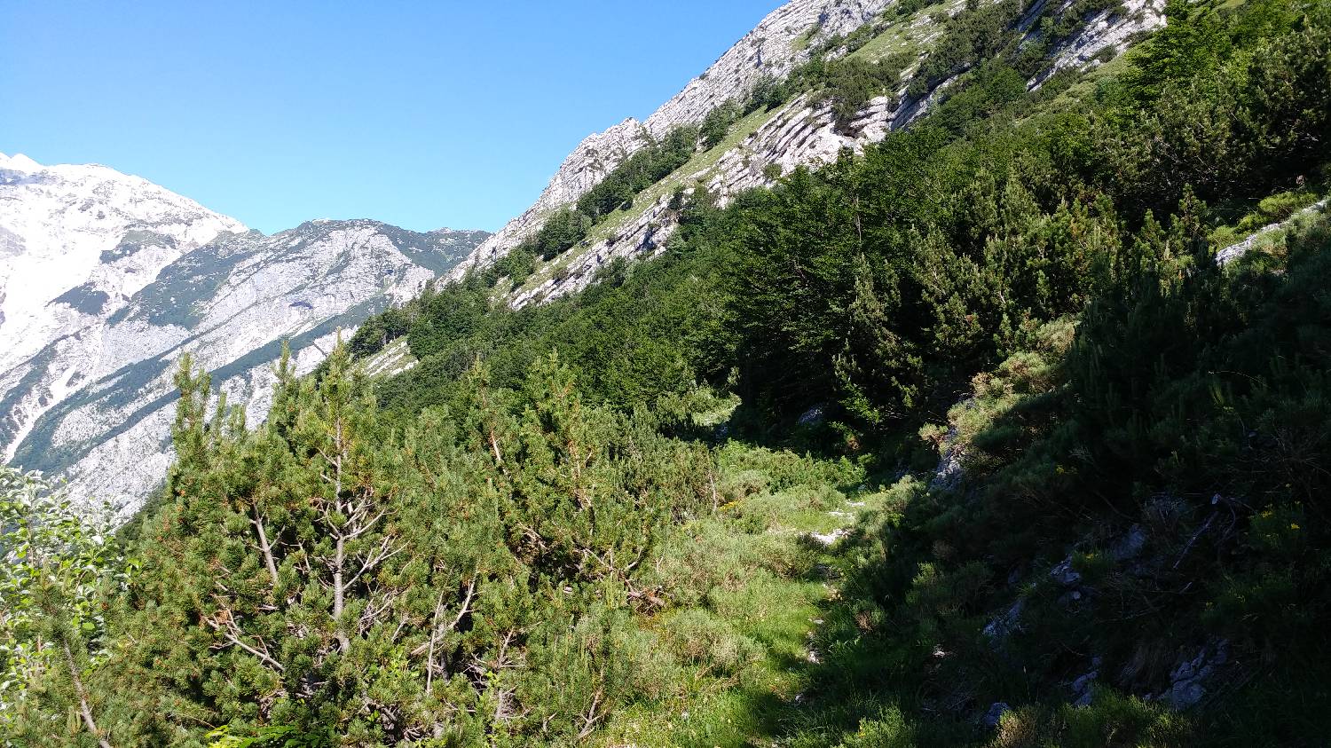 Planina Srednica - Vrh Škrli slika 42