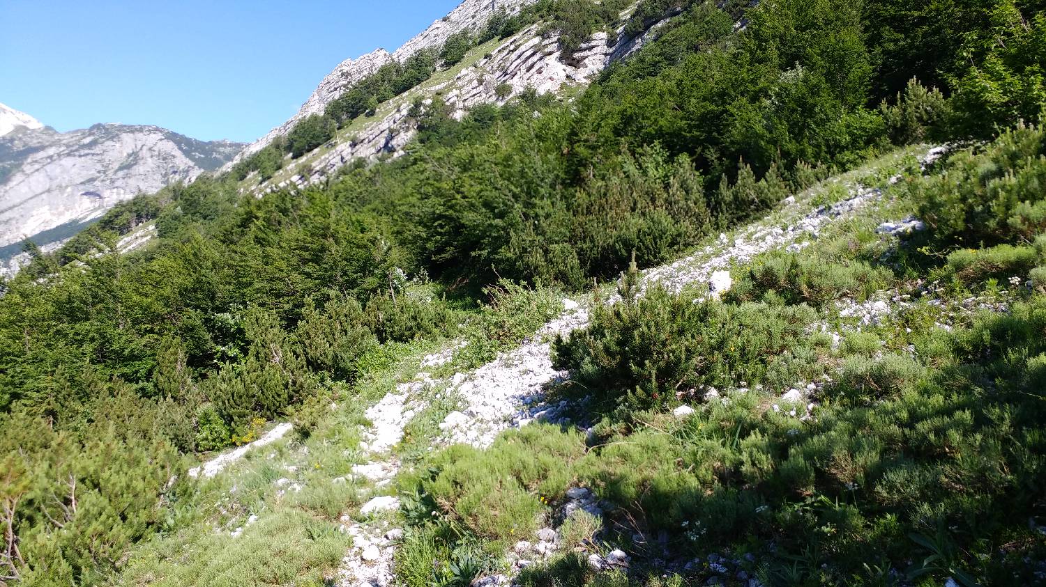Planina Srednica - Vrh Škrli slika 43