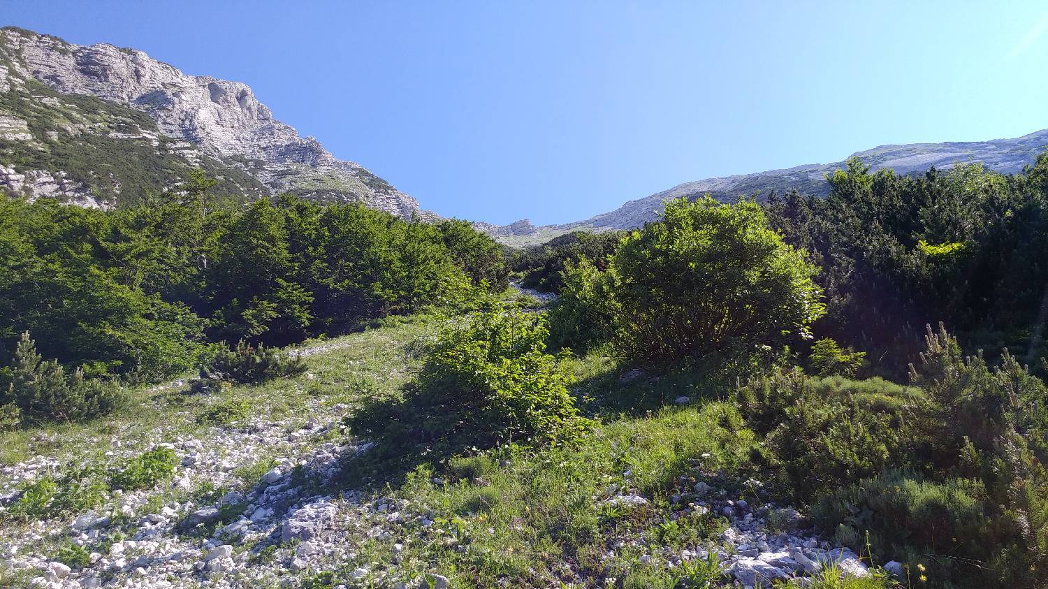 Planina Srednica - Vrh Škrli slika 44