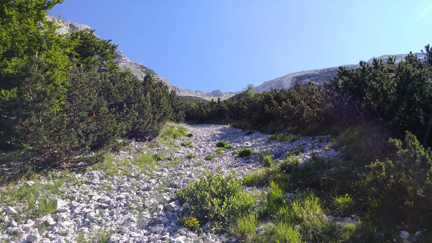 Planina Srednica - Vrh Škrli slika 45