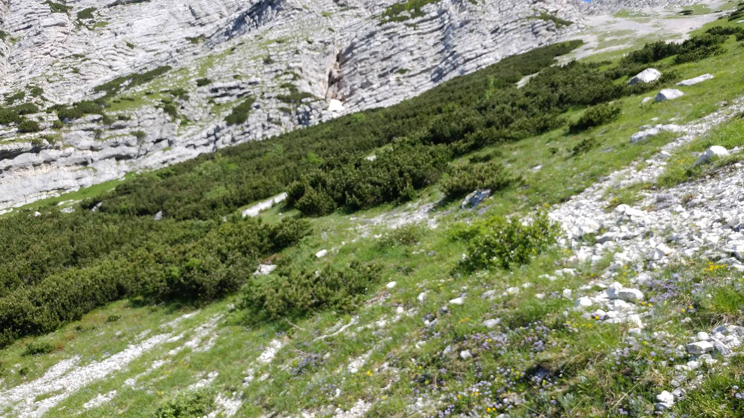 Planina Srednica - Vrh Škrli slika 48