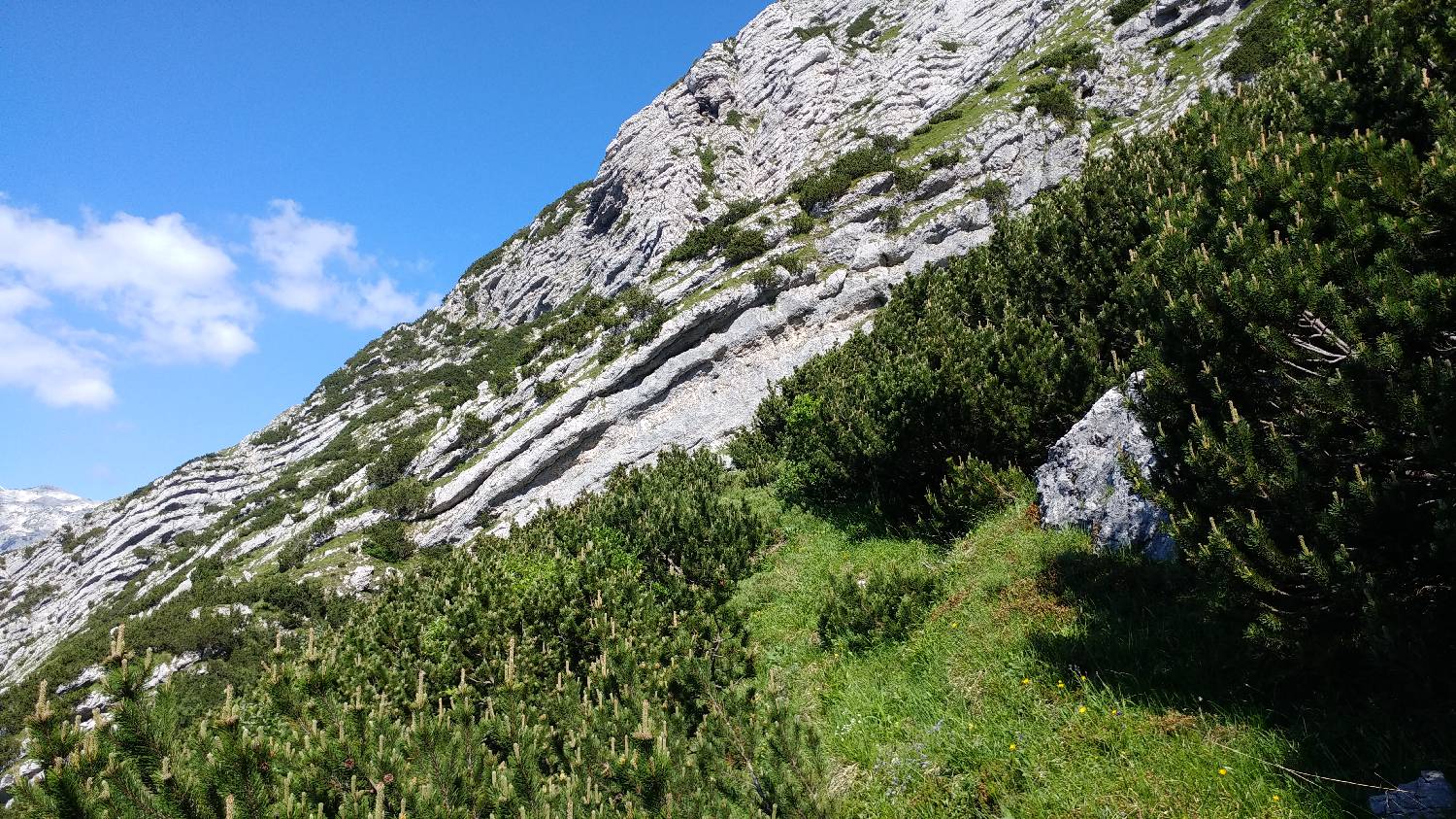Planina Srednica - Vrh Škrli slika 49