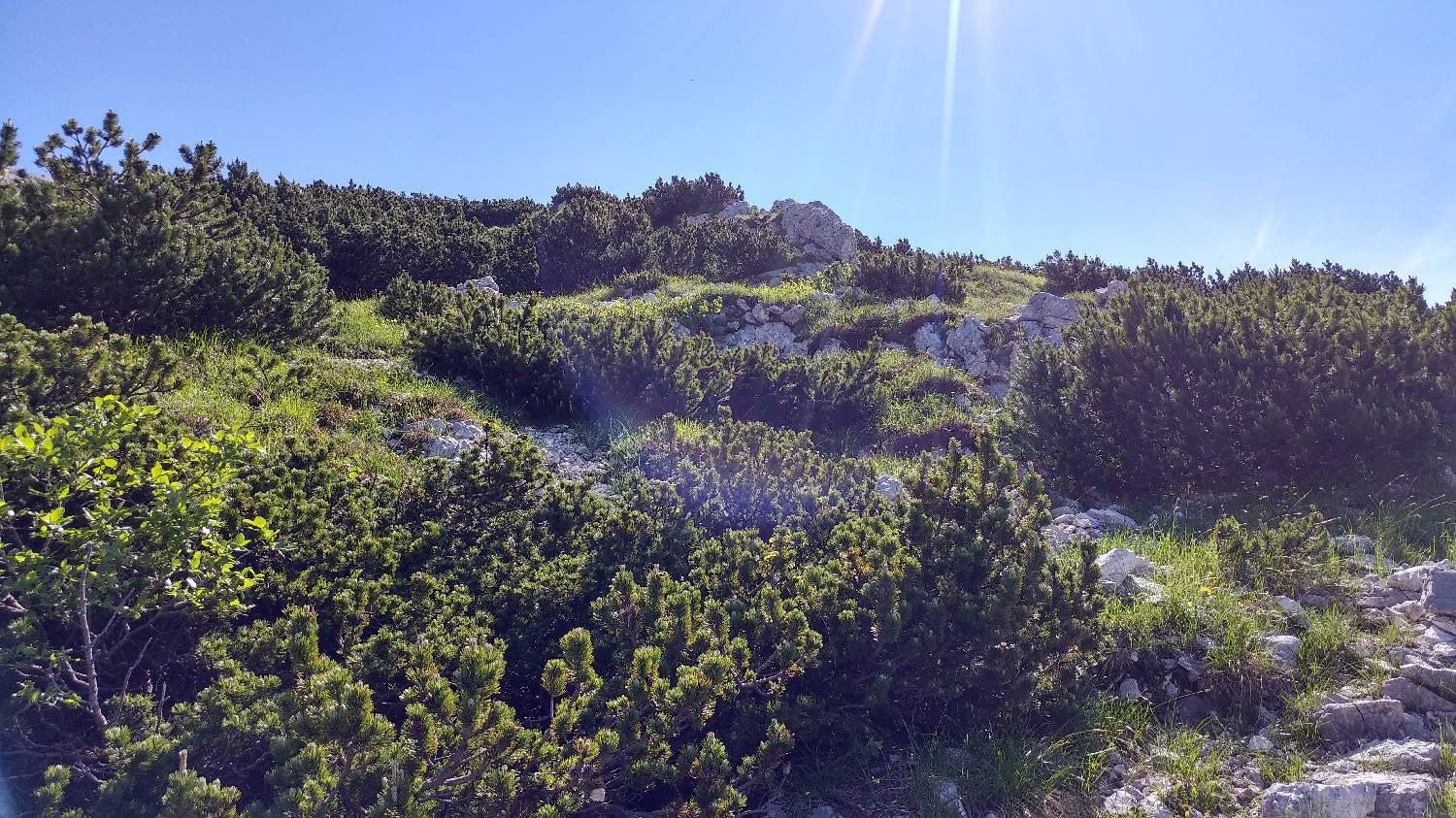 Planina Srednica - Vrh Škrli slika 53