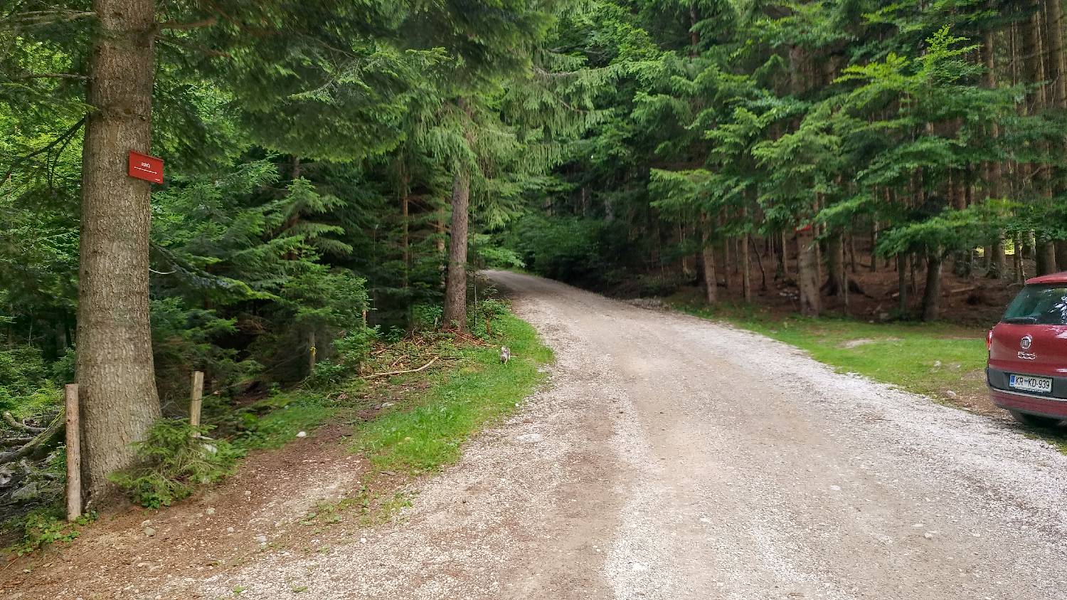 Bistriška planina - Koča na Dobrči slika 1
