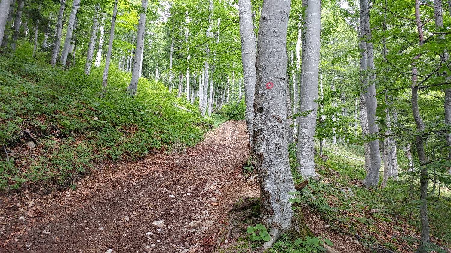 Bistriška planina - Koča na Dobrči slika 5
