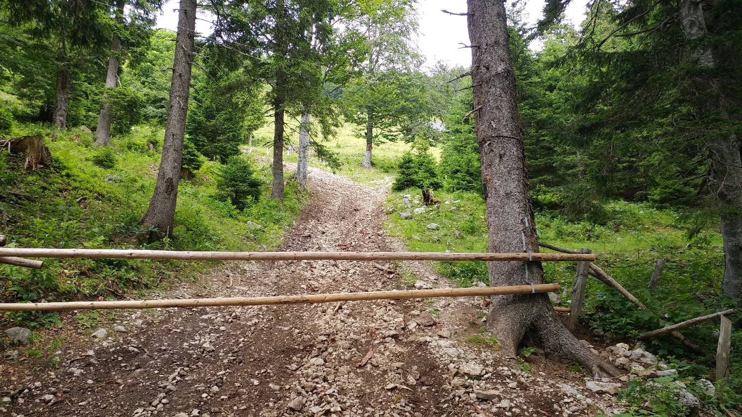 Bistriška planina - Lešanska planina slika 8