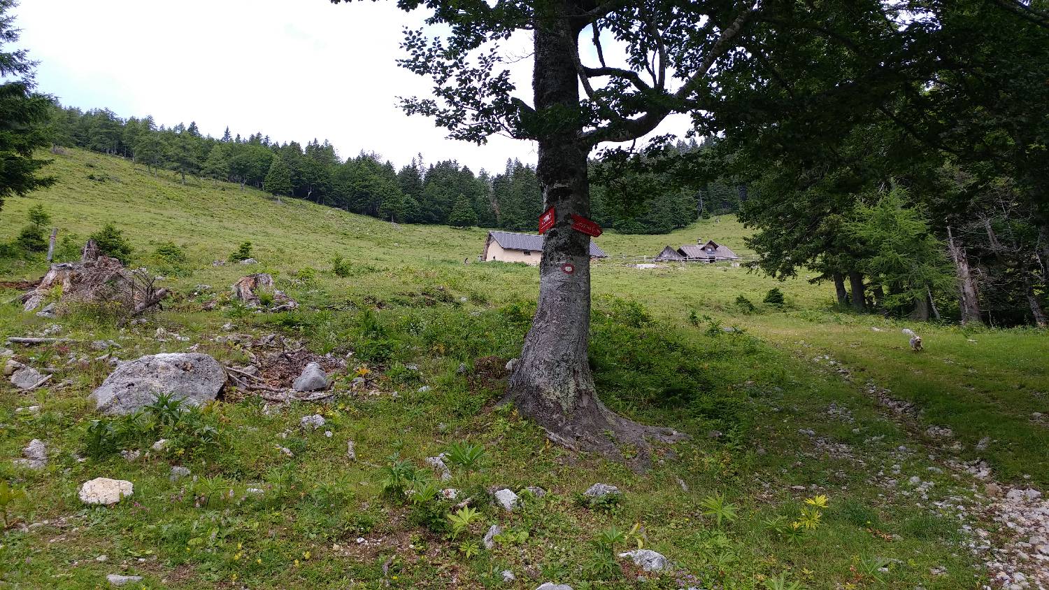 Bistriška planina - Koča na Dobrči slika 7