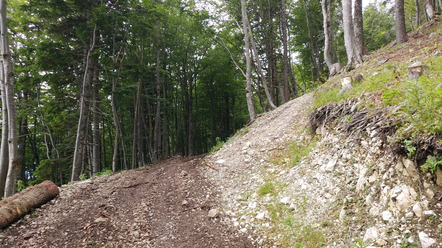 Bistriška planina - Koča na Dobrči slika 9