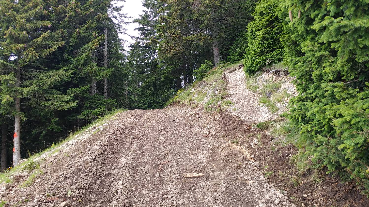 Bistriška planina - Koča na Dobrči slika 10