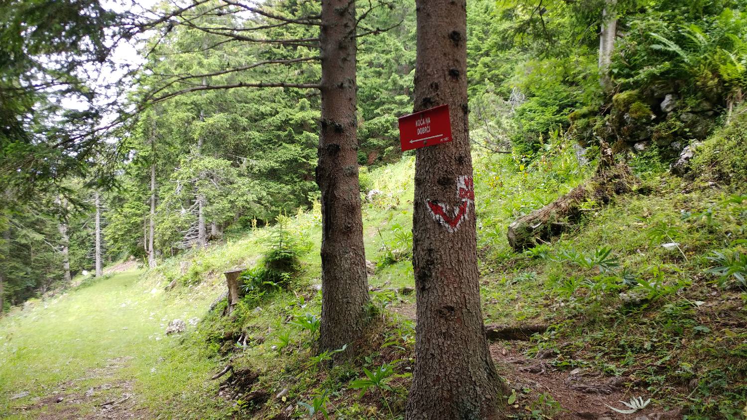 Bistriška planina - Koča na Dobrči slika 13