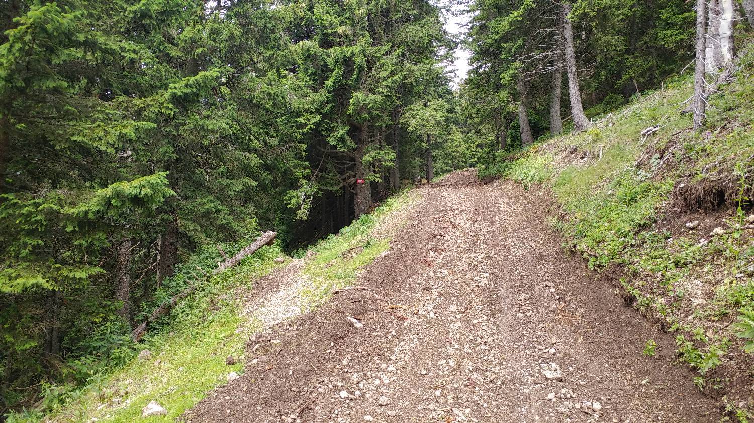 Brezje pri Tržiču - Koča na Dobrči slika 23