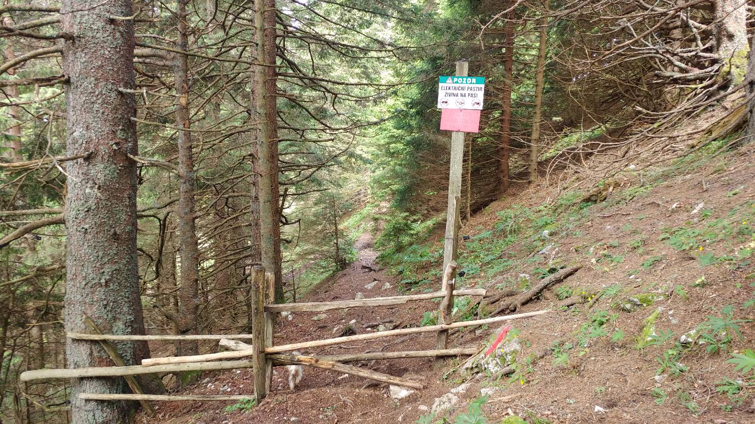 Bistriška planina - Koča na Dobrči slika 16