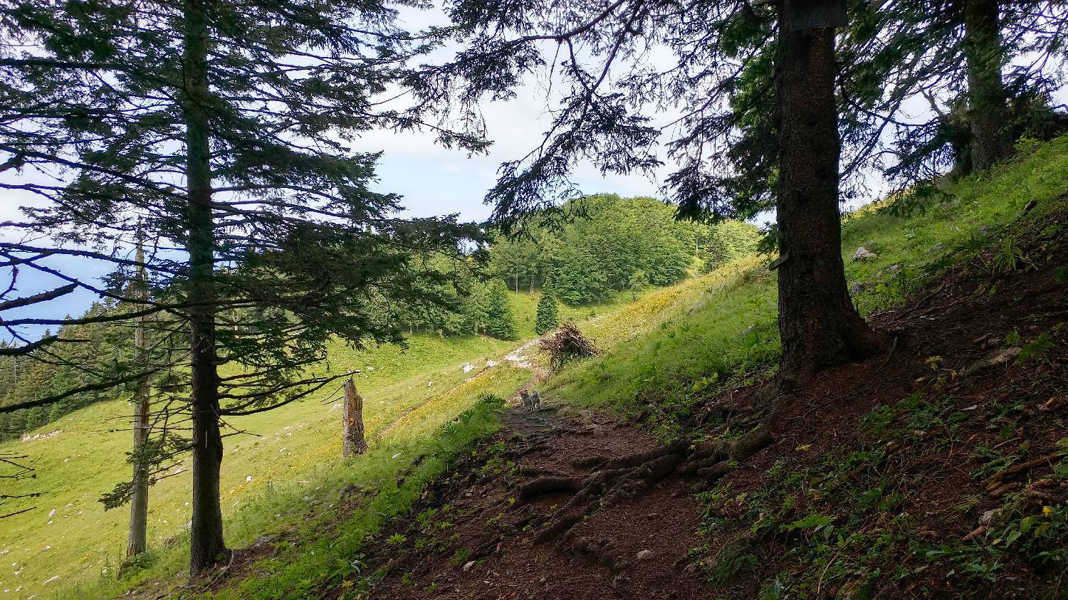Brezje pri Tržiču - Koča na Dobrči slika 26