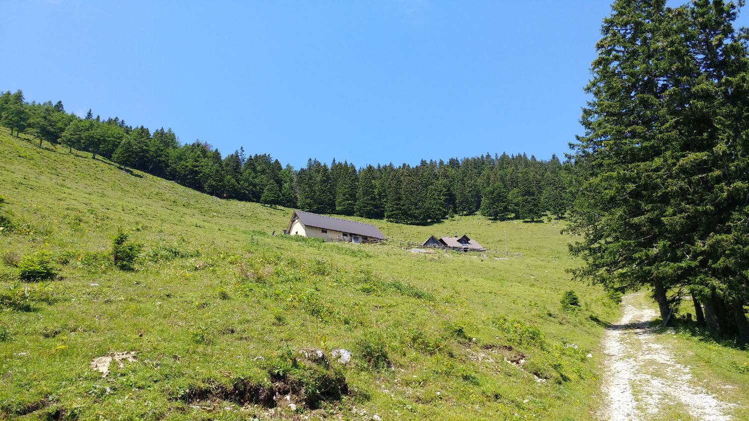 Bistriška planina - Lešanska planina - main photo