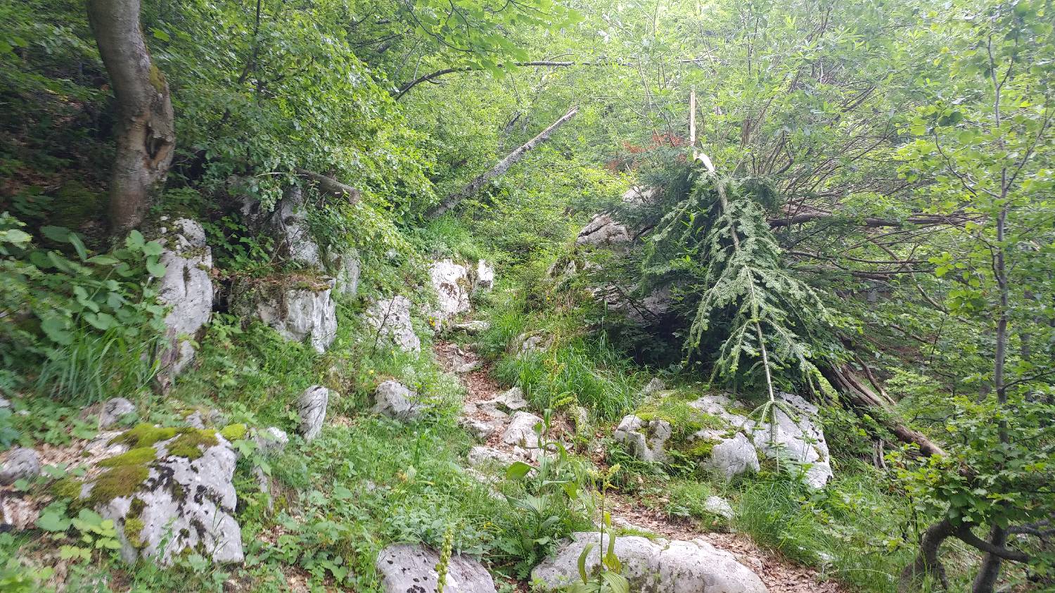 Dom pod Storžičem - Storžič slika 11
