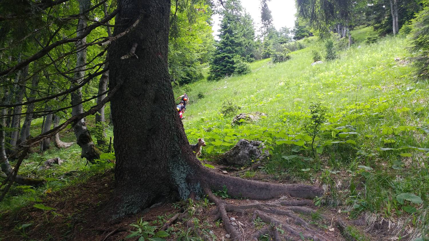 Dom pod Storžičem - Storžič slika 17