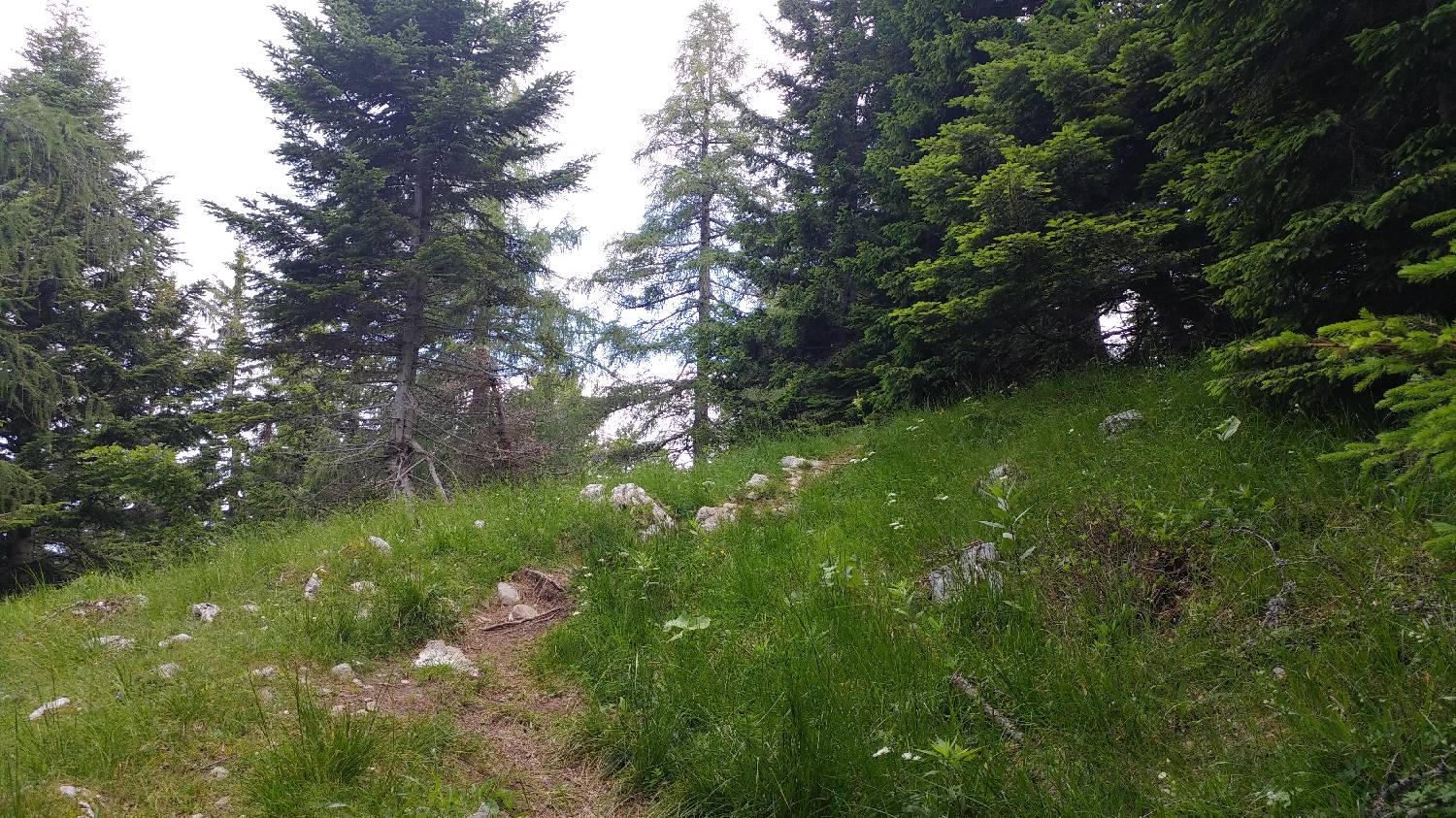 Dom pod Storžičem - Storžič slika 18