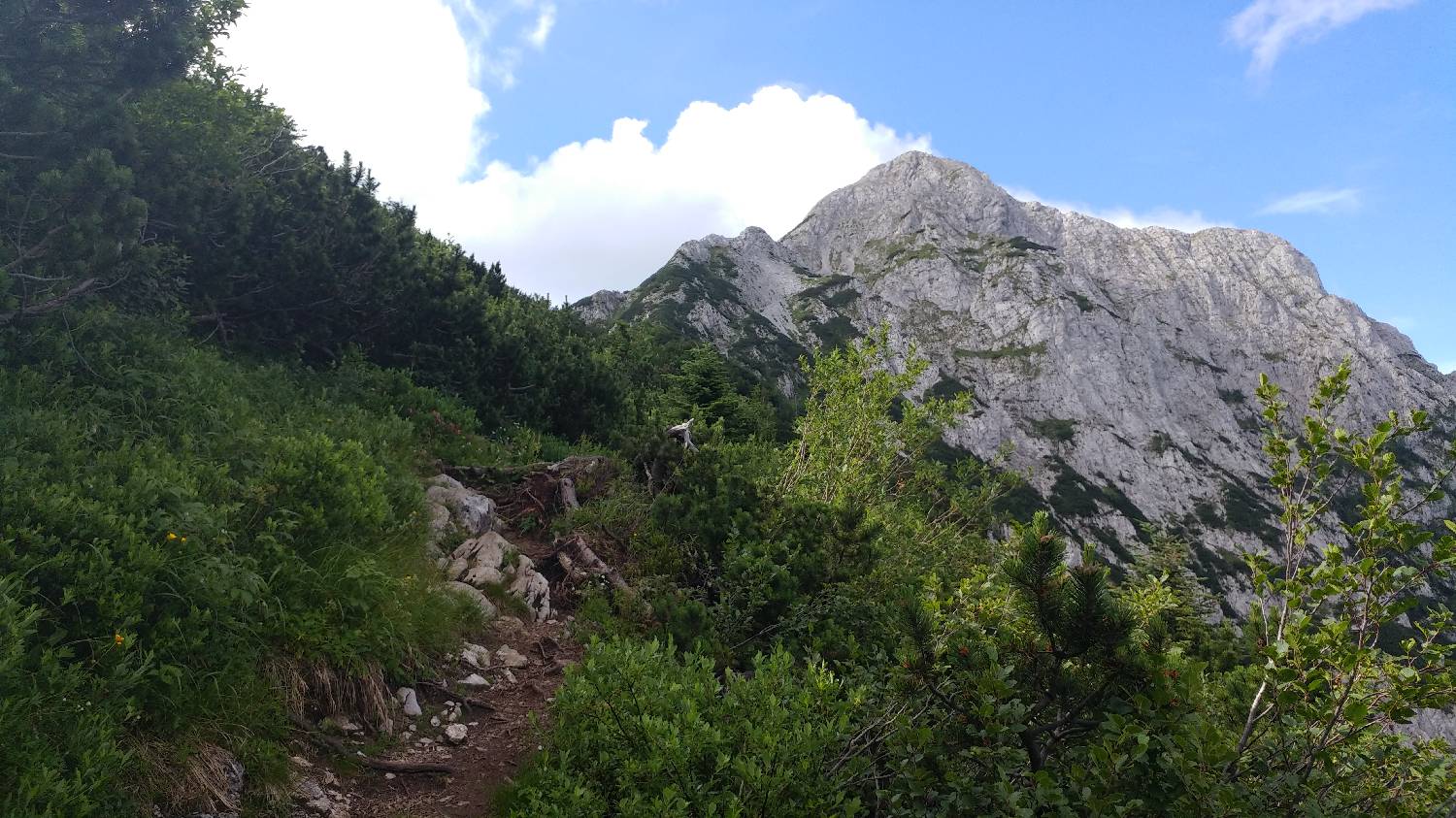 Dom pod Storžičem - Storžič slika 21