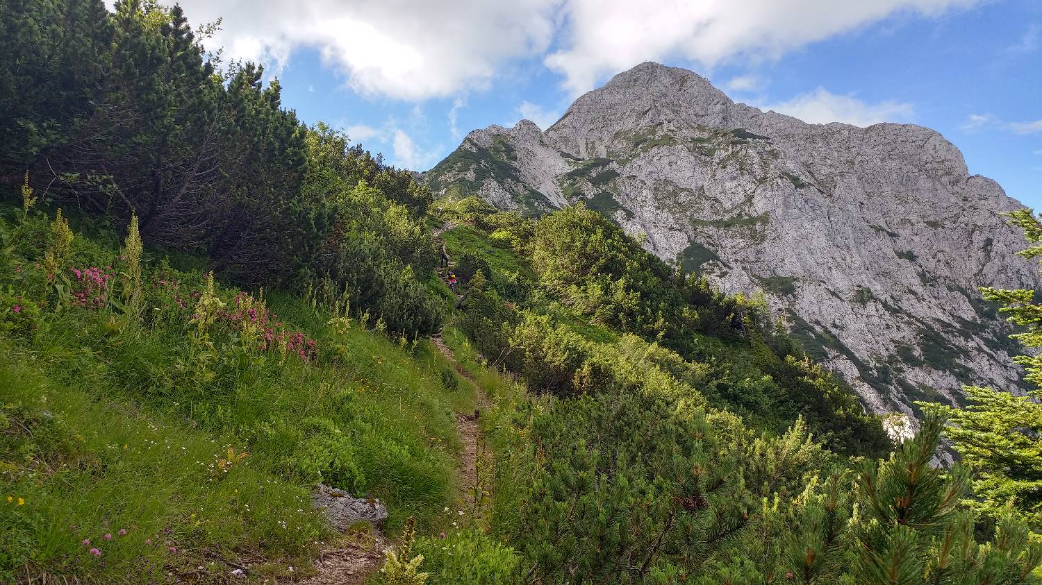 Dom pod Storžičem - Storžič slika 22