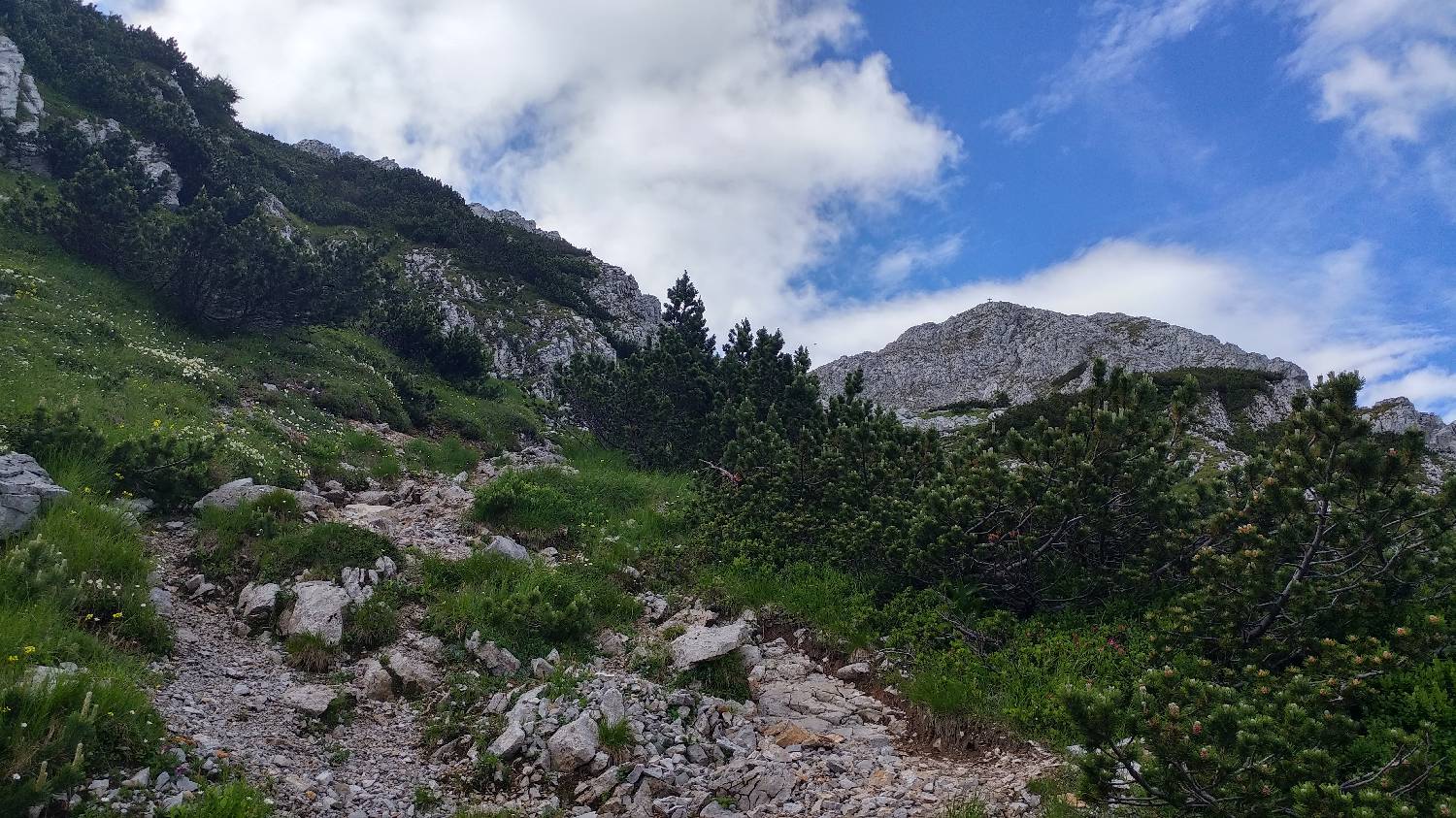 Dom pod Storžičem - Storžič slika 25