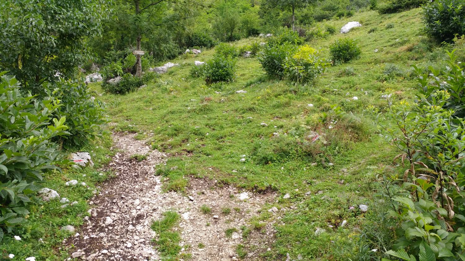 Planina Kuhinja - Planina Sleme slika 12
