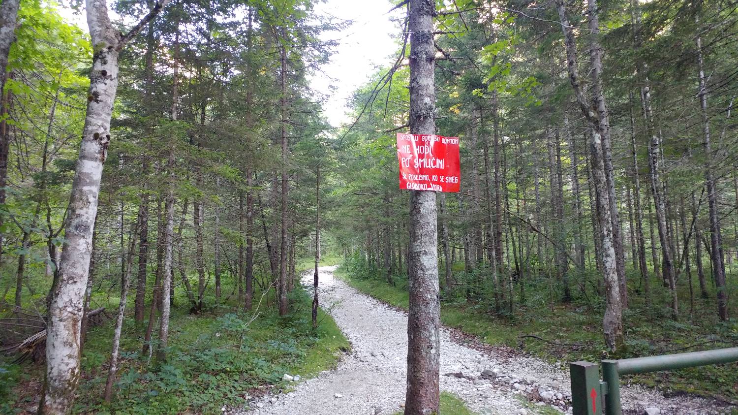 Dolina Krma - Kredarica slika 4