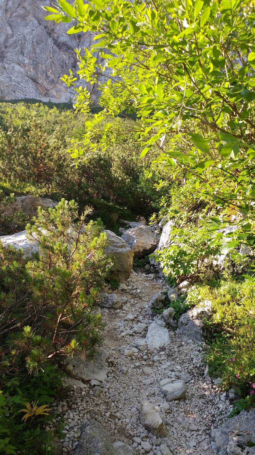 Dolina Krma - Triglav slika 12