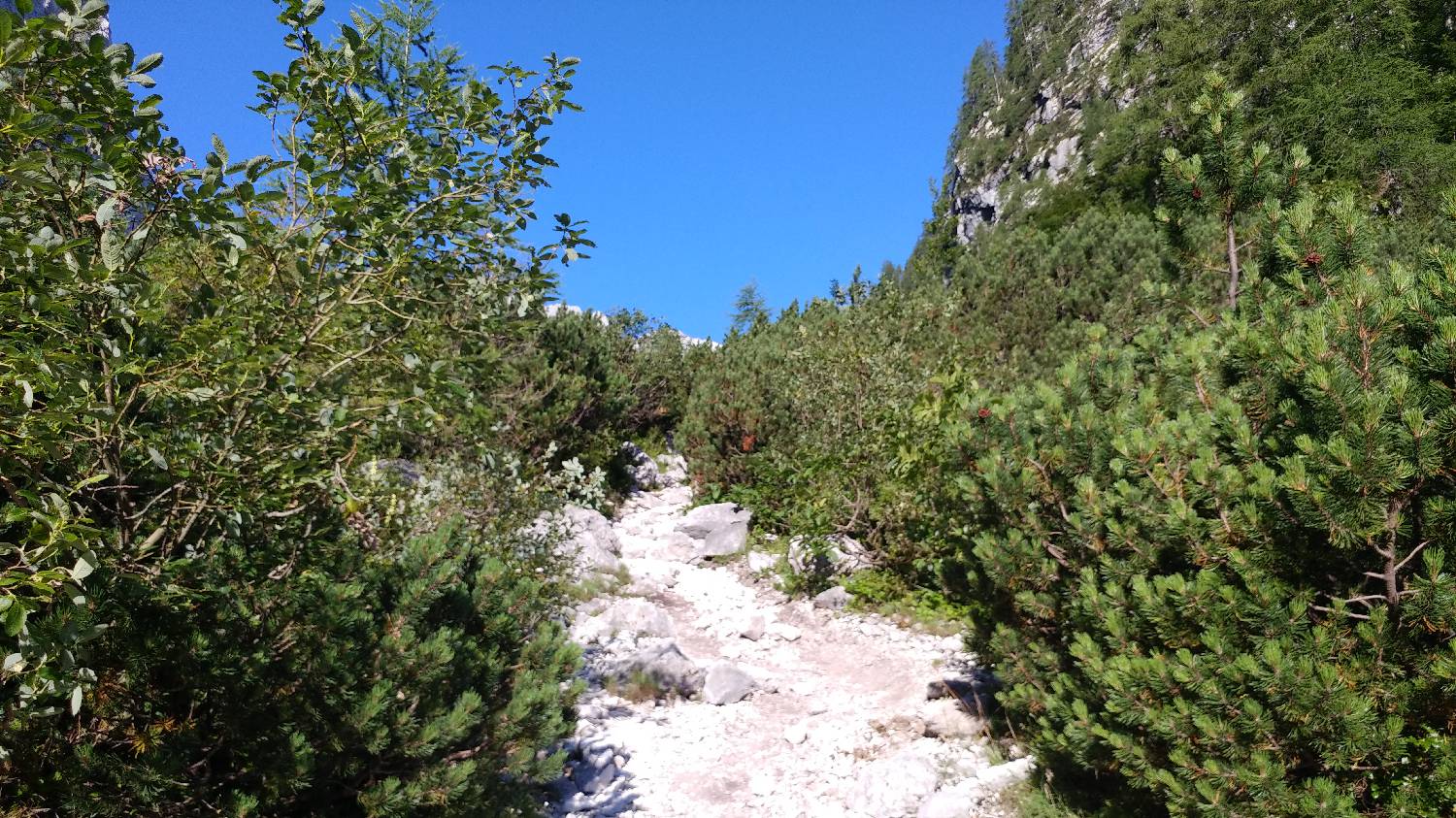 Dolina Krma - Triglav slika 14