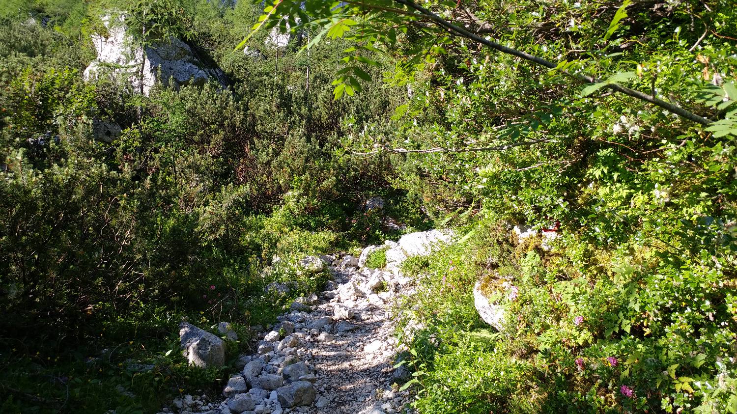 Dolina Krma - Triglav slika 19
