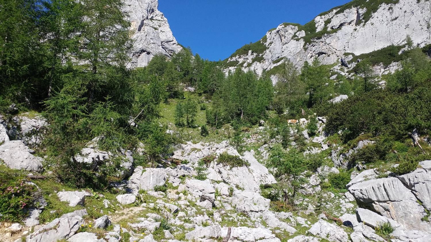 Dolina Krma - Kredarica slika 25