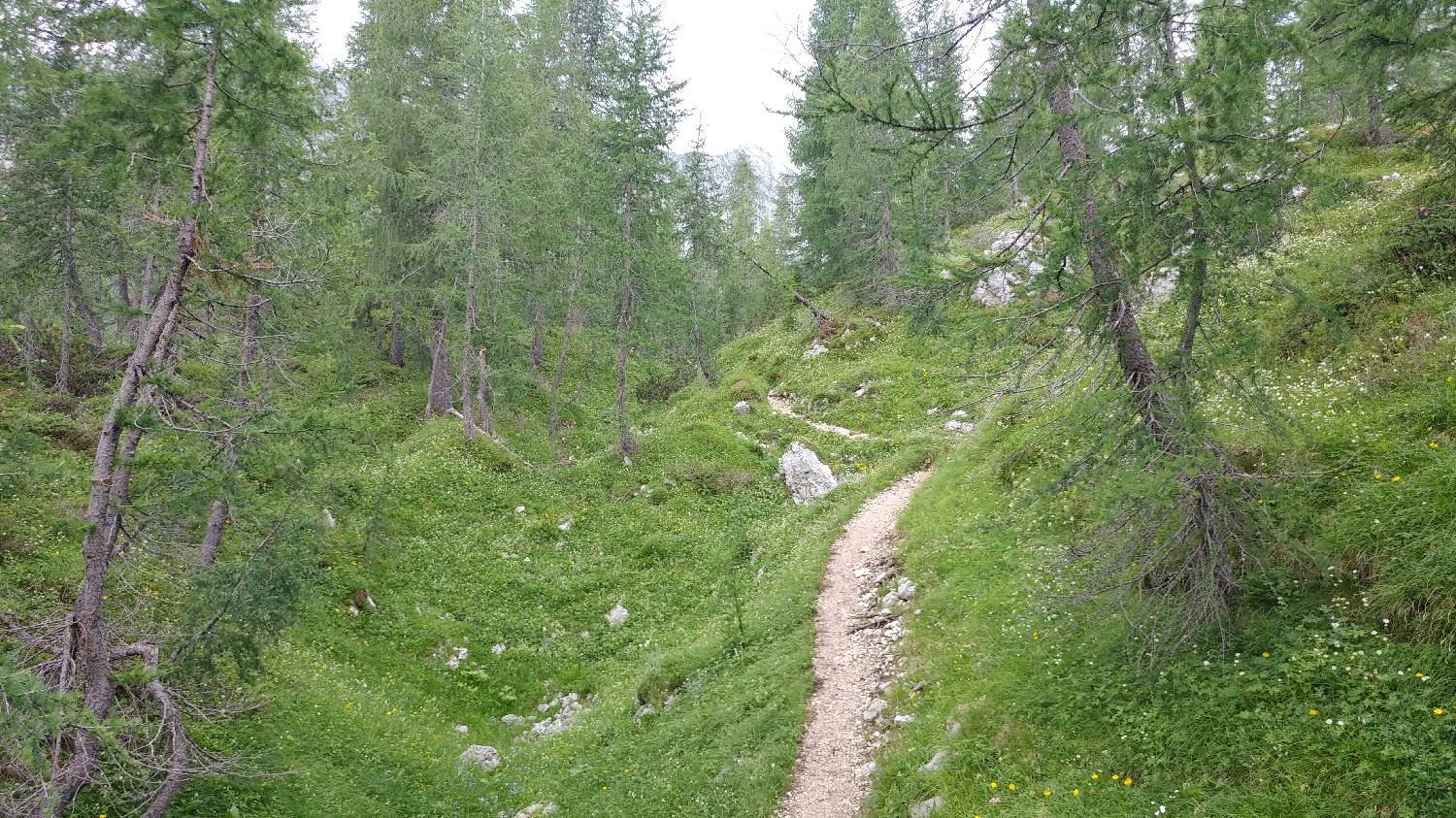 Planinski dom Savica - Triglav slika 48