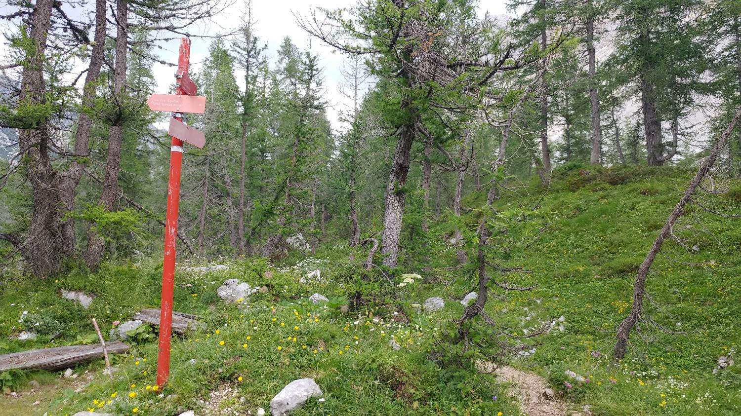 Planinski dom Savica - Triglav slika 47