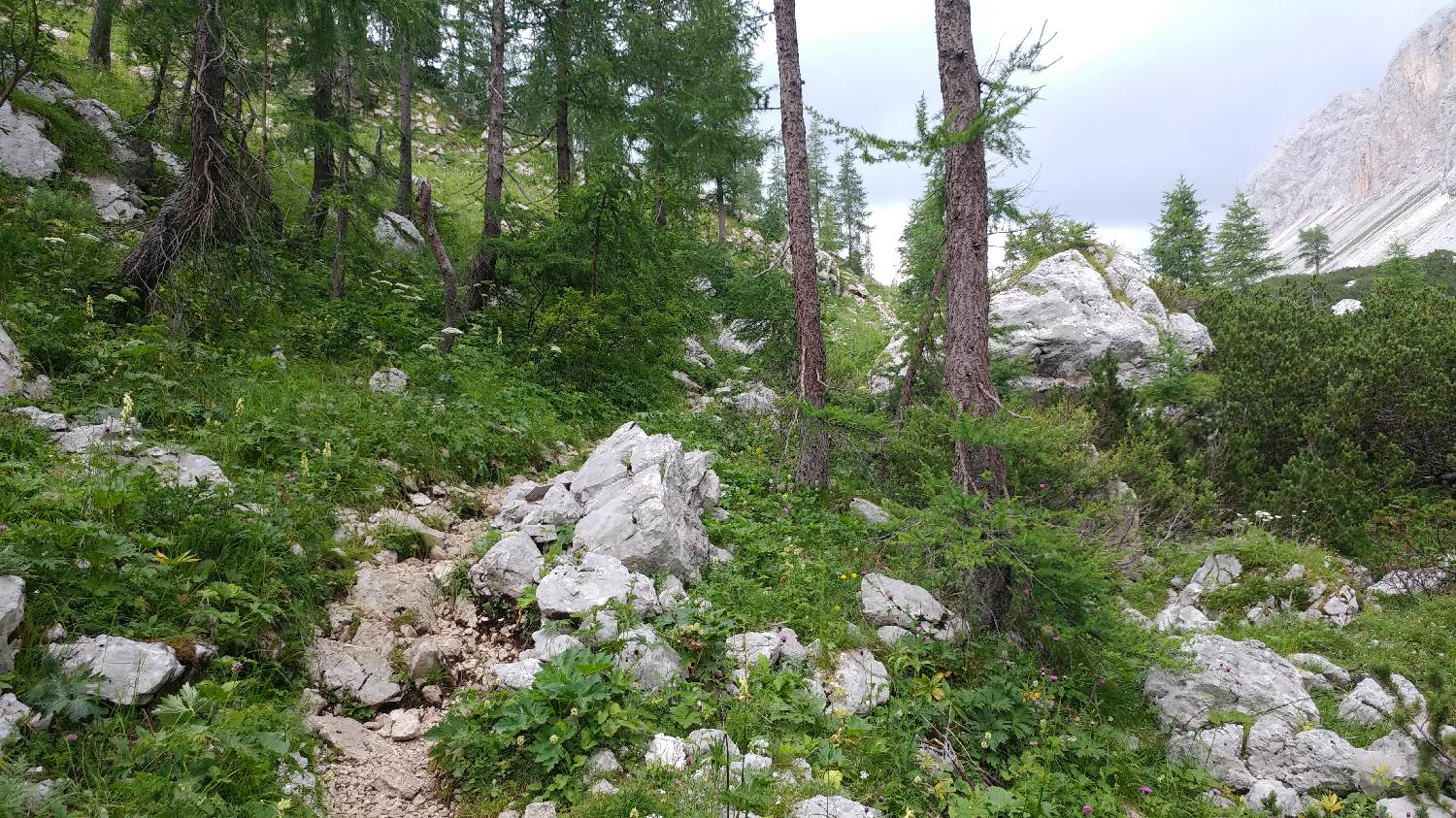 Planinski dom Savica - Triglav slika 44