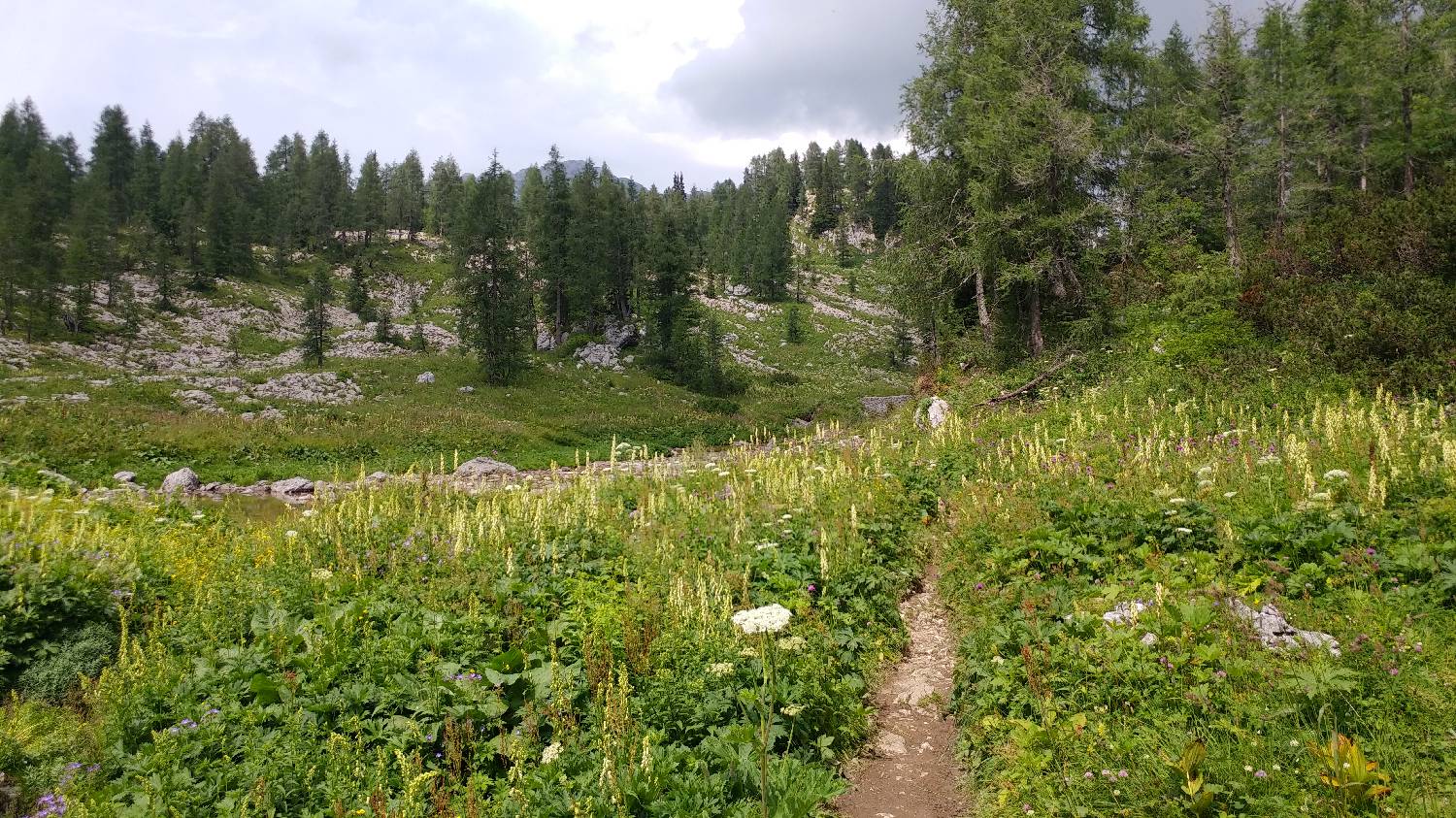 Planinski dom Savica - Dolič slika 39