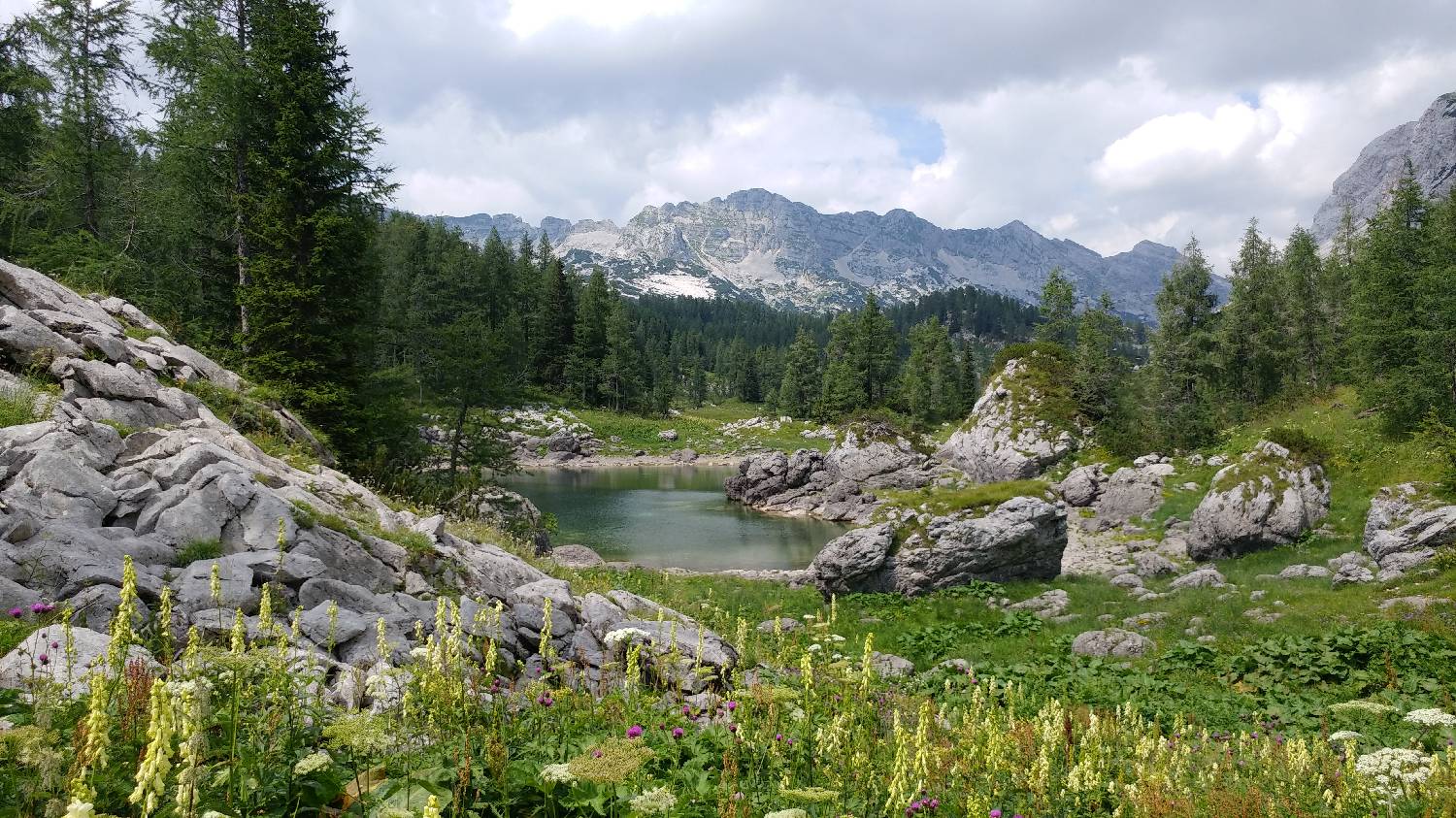 Planinski dom Savica - Dolič slika 36