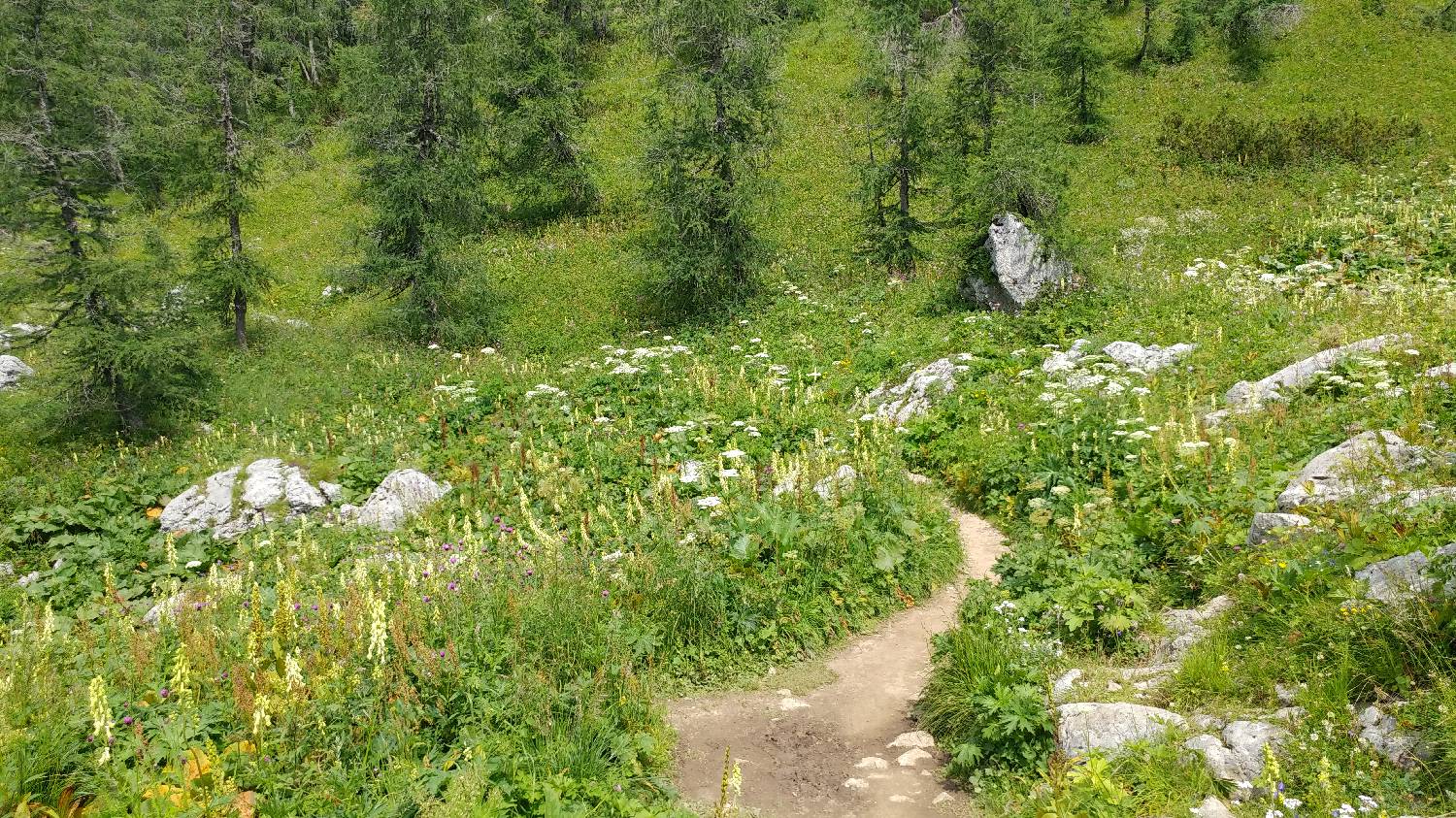Planinski dom Savica - Dolič slika 35