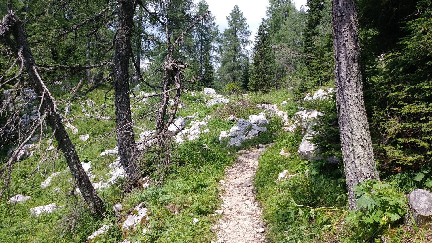 Planinski dom Savica - Dolič slika 34