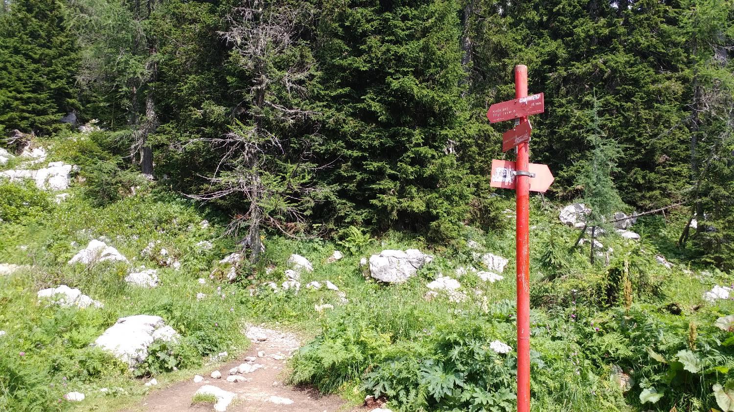 Planinski dom Savica - Dolič slika 33