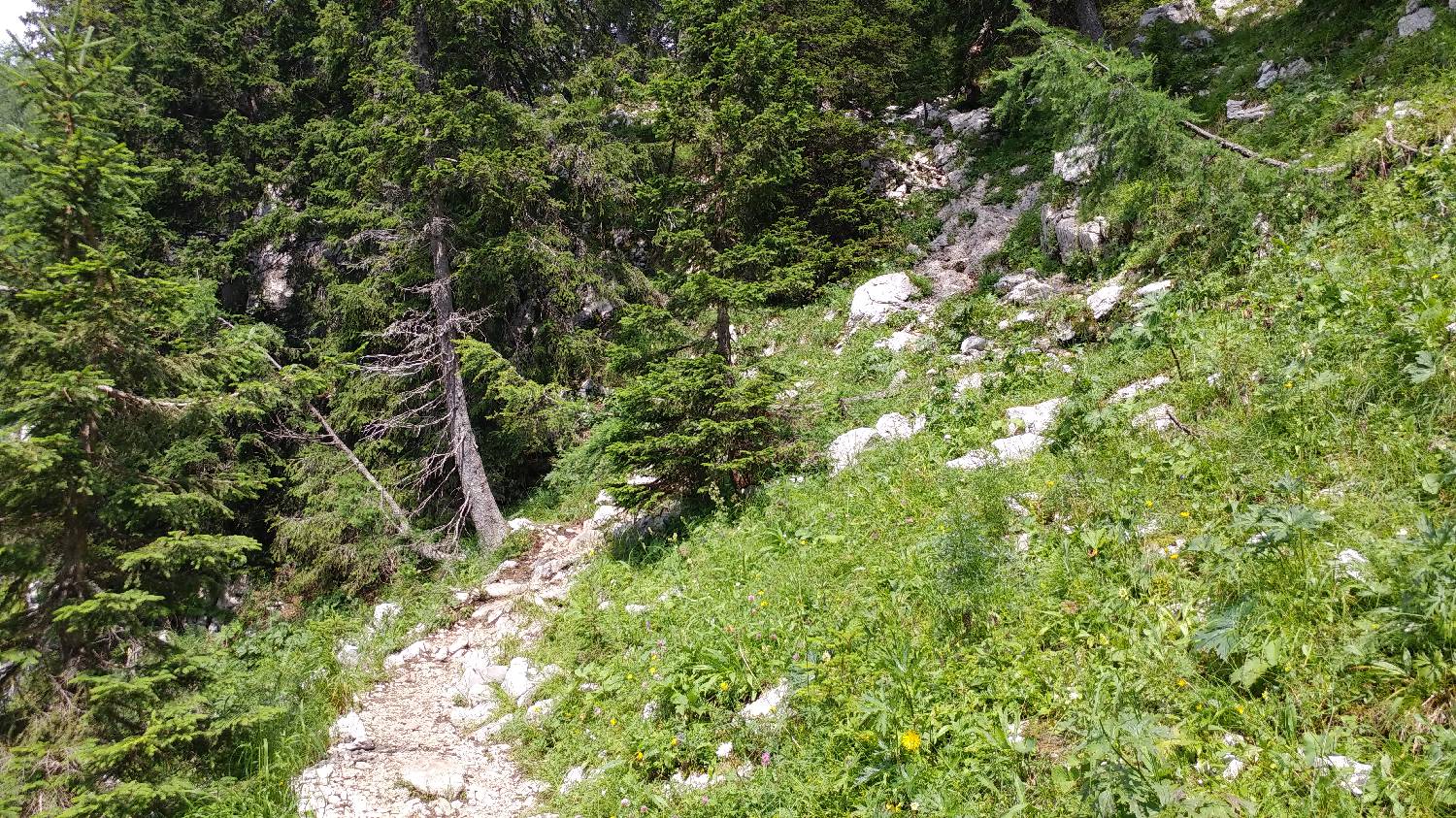 Planinski dom Savica - Dolič slika 32