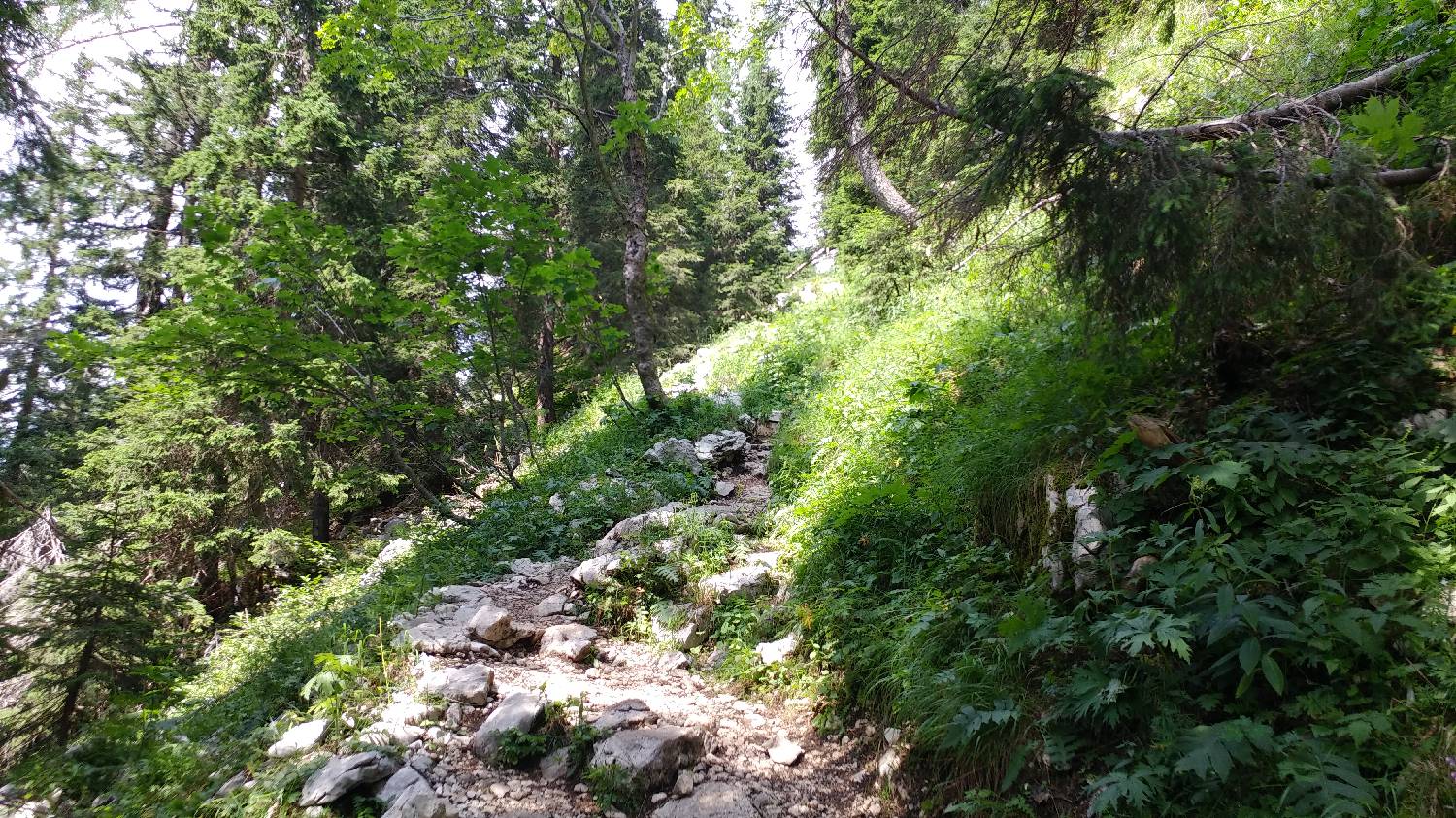 Planinski dom Savica - Dolič slika 31